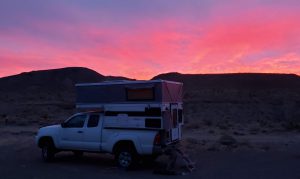 Sunrise in Jojoba Wash - Anza Borrego