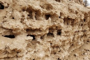 Mud formations in Jojoba Wash