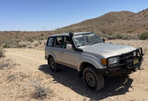 Our Anza Borrego Flower Hunting Toyota Landcruiser